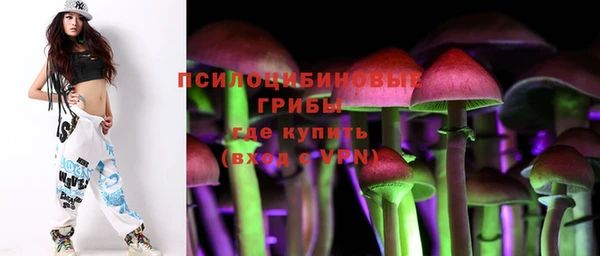 МДПВ Михайловка