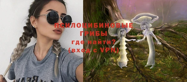 молекула духа Алексин