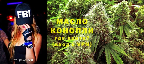 молекула духа Алексин
