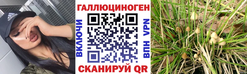 Псилоцибиновые грибы MAGIC MUSHROOMS  закладки  Арзамас 