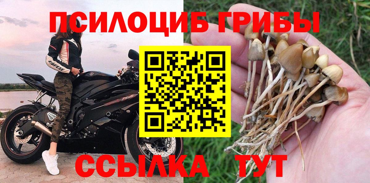 Псилоцибиновые грибы прущие грибы  Псилоцибиновые грибы Psilocybine cubensis  Арзамас  Вход с VPN 